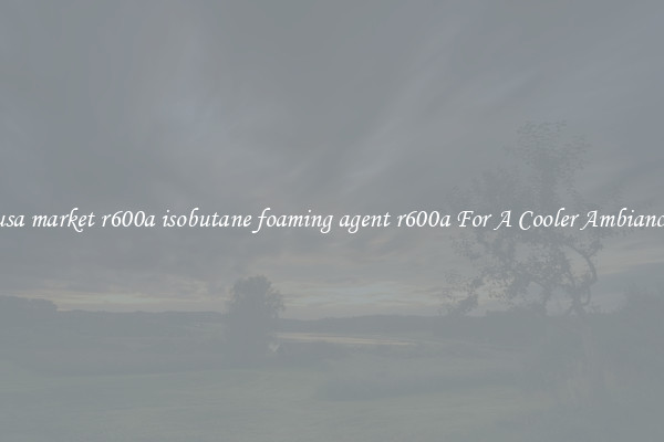 usa market r600a isobutane foaming agent r600a For A Cooler Ambiance