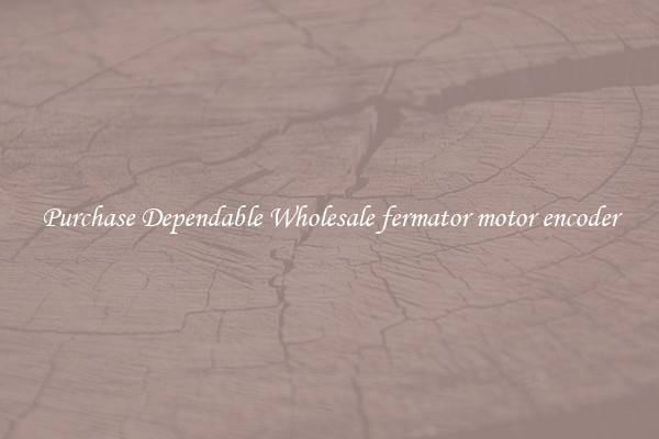 Purchase Dependable Wholesale fermator motor encoder