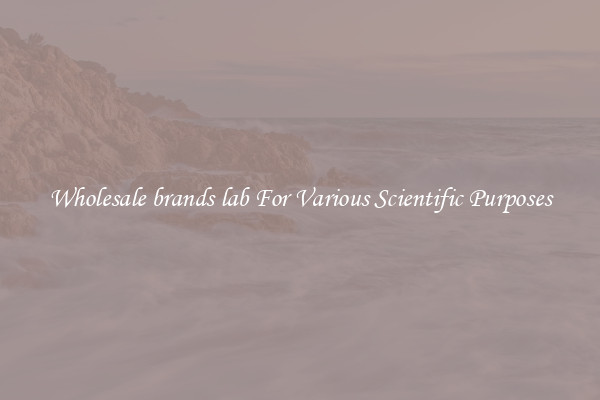 Wholesale brands lab For Various Scientific Purposes