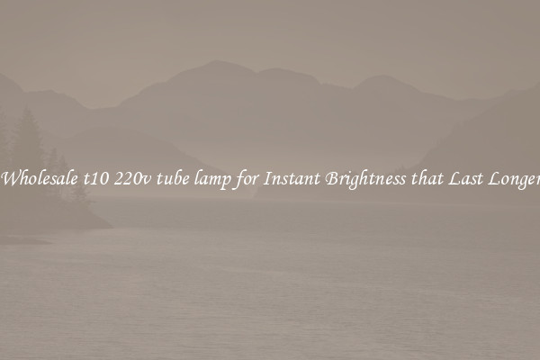 Wholesale t10 220v tube lamp for Instant Brightness that Last Longer