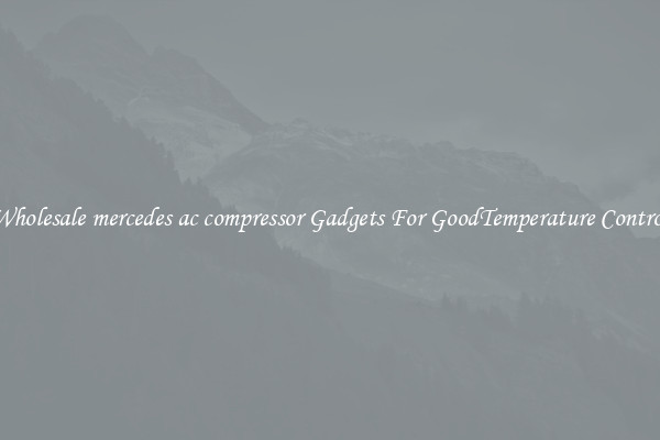 Wholesale mercedes ac compressor Gadgets For GoodTemperature Control