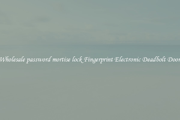 Wholesale password mortise lock Fingerprint Electronic Deadbolt Door 