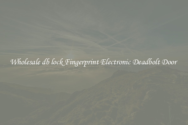 Wholesale db lock Fingerprint Electronic Deadbolt Door 