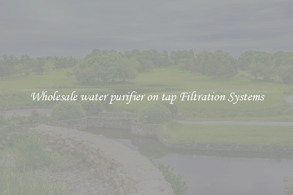 Wholesale water purifier on tap Filtration Systems