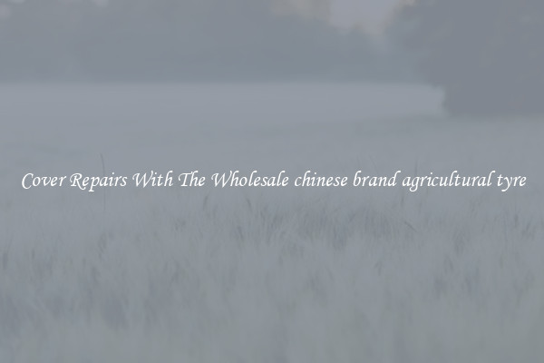  Cover Repairs With The Wholesale chinese brand agricultural tyre 