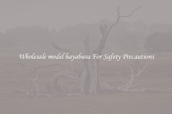 Wholesale model hayabusa For Safety Precautions