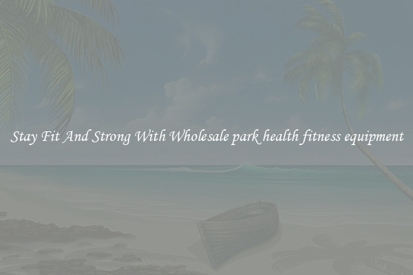 Stay Fit And Strong With Wholesale park health fitness equipment