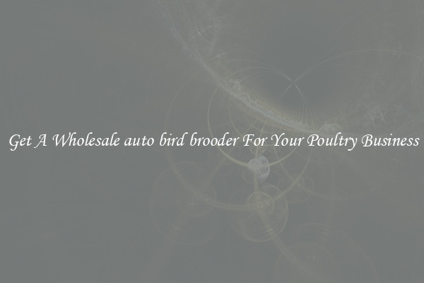Get A Wholesale auto bird brooder For Your Poultry Business