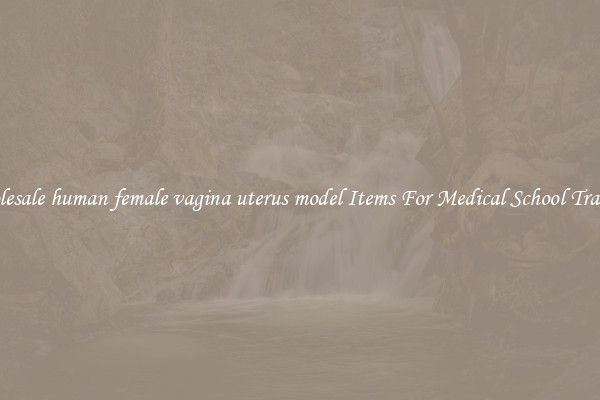 Wholesale human female vagina uterus model Items For Medical School Training