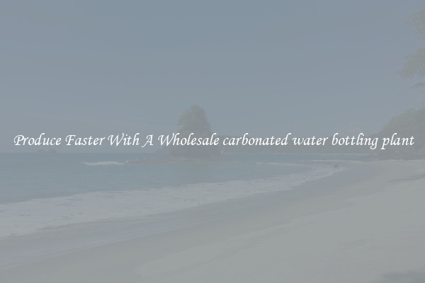 Produce Faster With A Wholesale carbonated water bottling plant
