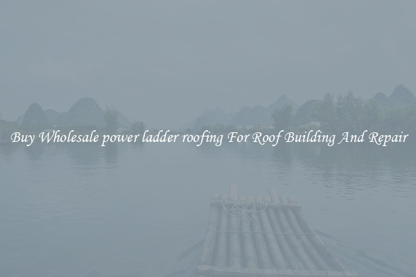 Buy Wholesale power ladder roofing For Roof Building And Repair