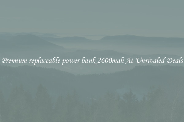 Premium replaceable power bank 2600mah At Unrivaled Deals