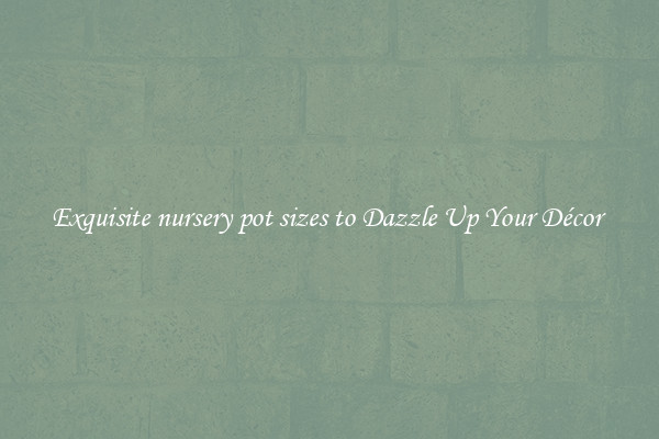 Exquisite nursery pot sizes to Dazzle Up Your Décor 