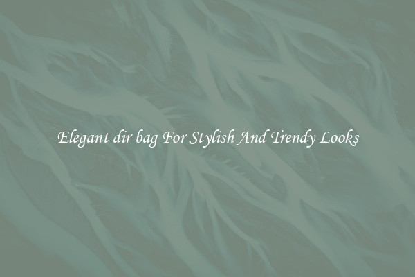 Elegant dir bag For Stylish And Trendy Looks