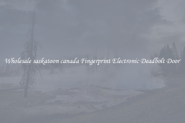 Wholesale saskatoon canada Fingerprint Electronic Deadbolt Door 