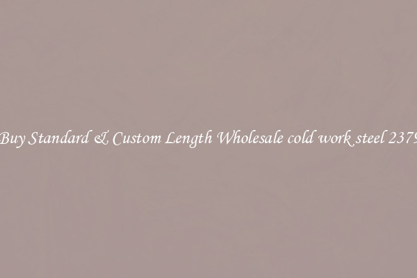 Buy Standard & Custom Length Wholesale cold work steel 2379