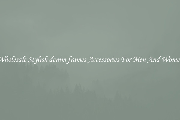 Wholesale Stylish denim frames Accessories For Men And Women
